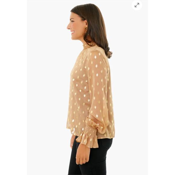 POMANDER PLACE Tan Gold Celeste Blouse Mock Neck Sheer Shimmer Blouse Size Small - Picture 2 of 9